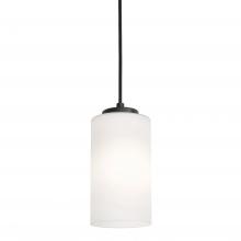 AFX Lighting, Inc. LEOP04MBBK - Leo 06''h Med Base Pendant,120V,BK