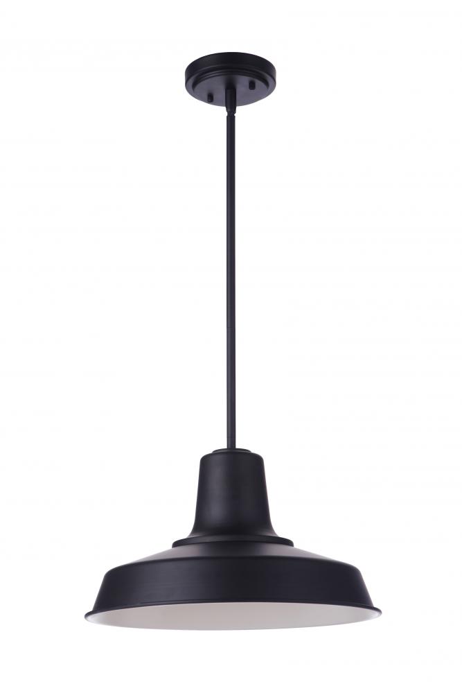 Briscoe 1 Light 15&#34; Outdoor Pendant in Midnight