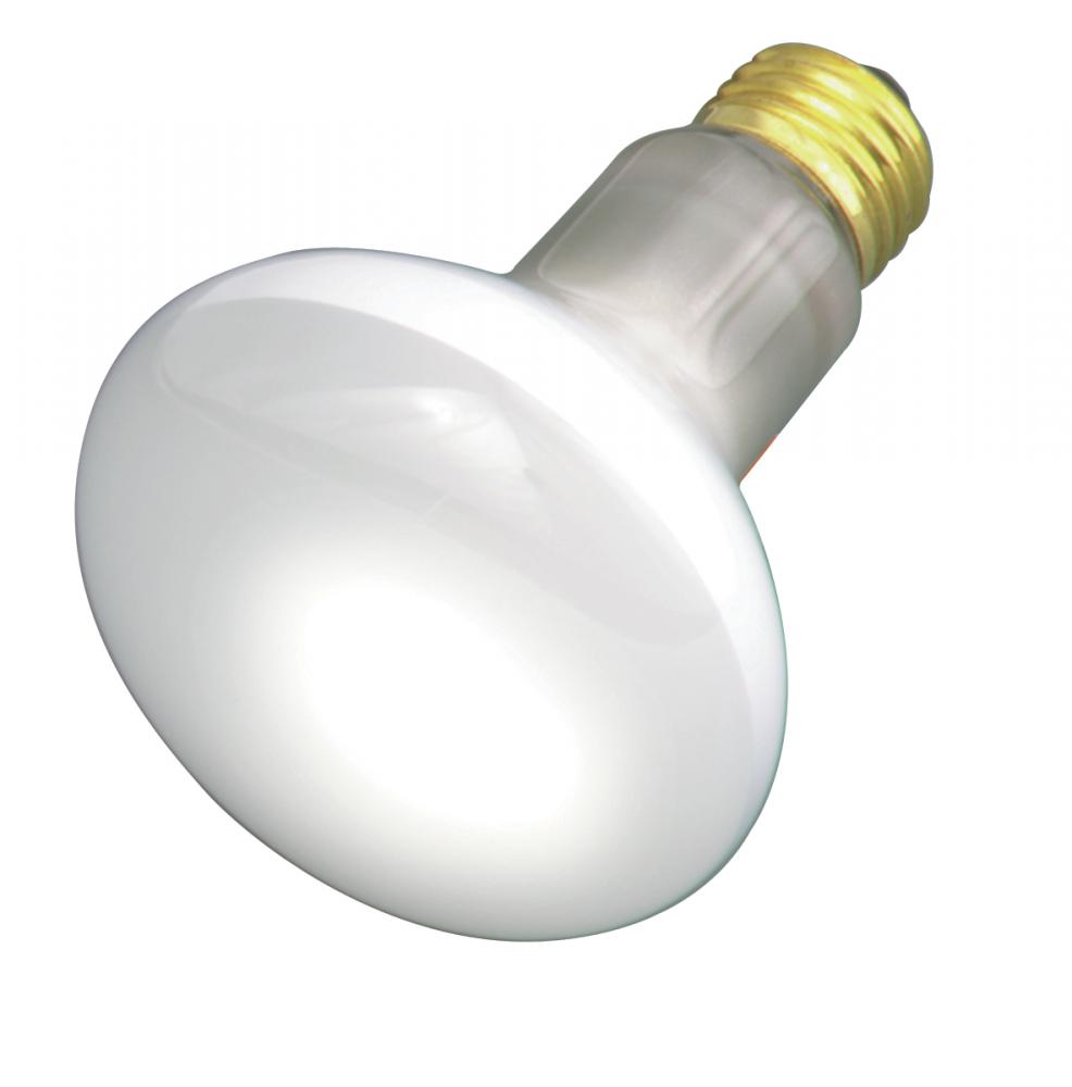 30 Watt R20 Incandescent; Frost; 2000 Average rated hours; 185 Lumens; Medium base; 130 Volt