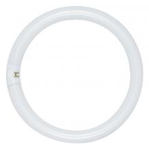 Satco Products Inc. S6502 - 22 Watt; T9; Circline Fluorescent; 3000K Warm White; 52 CRI; 4-Pin base