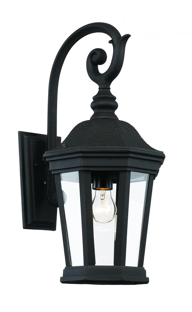 Westfield Hexagon Shaped, Clear Glass, Armed Outdoor Wall Lantern Light