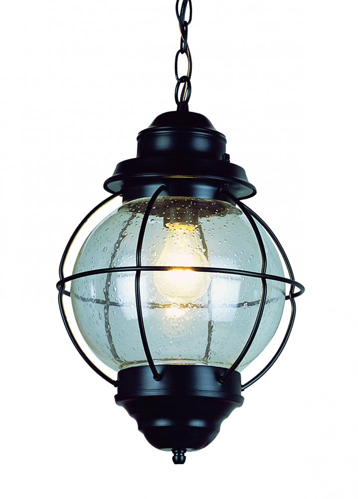 Catalina 13.5&#34; Hanging Lantern Light