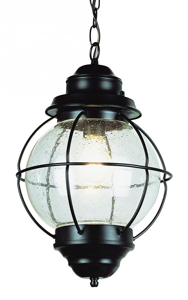 Catalina 19&#34; Hanging Lantern Pendant Light