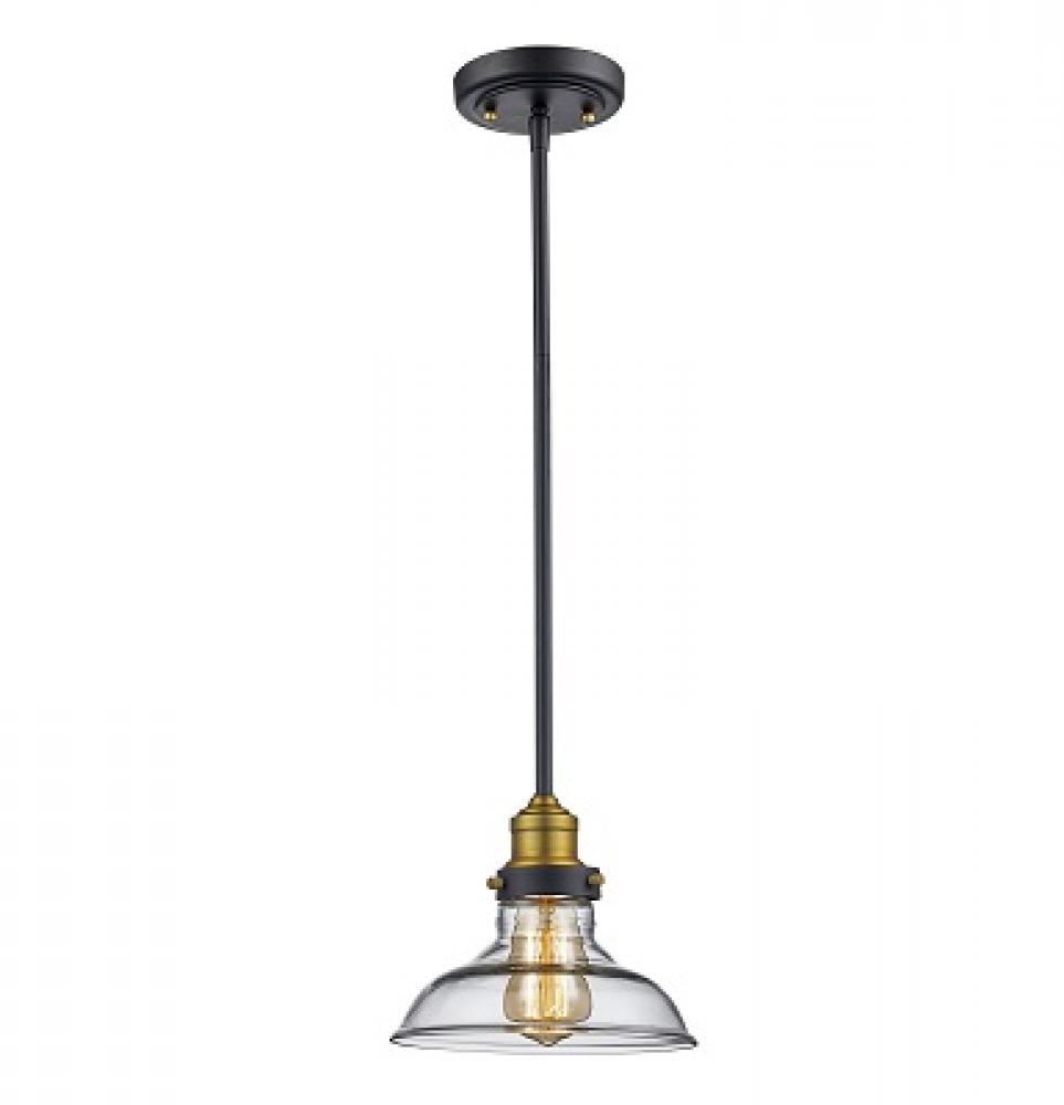 Jackson 8&#34; wide Pendant