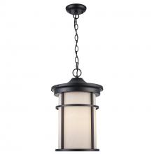 Trans Globe 40386 BK-FR - Outdoor Hanging Lights Black