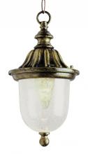 Trans Globe 4185 SWI - 1LT HANGING LANTERN SWI