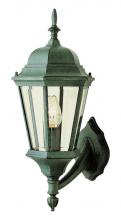 Trans Globe 4250 BG - San Rafael 23" Wall Lantern