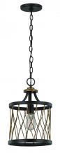 Trans Globe 70690 ROB - 1LT MINI PENDANT-ROB