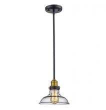 Trans Globe 70823 ROB - Jackson 8" wide Pendant