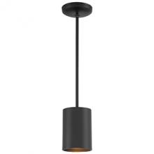 Access 29000-MBL - Pendant