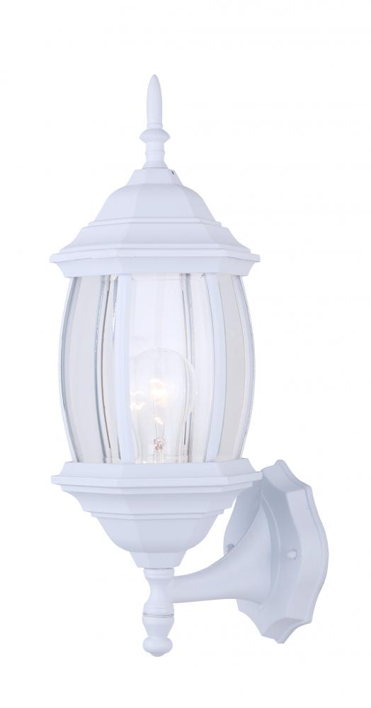 Outdoor 1 Light Outdoor Lantern, White Finish