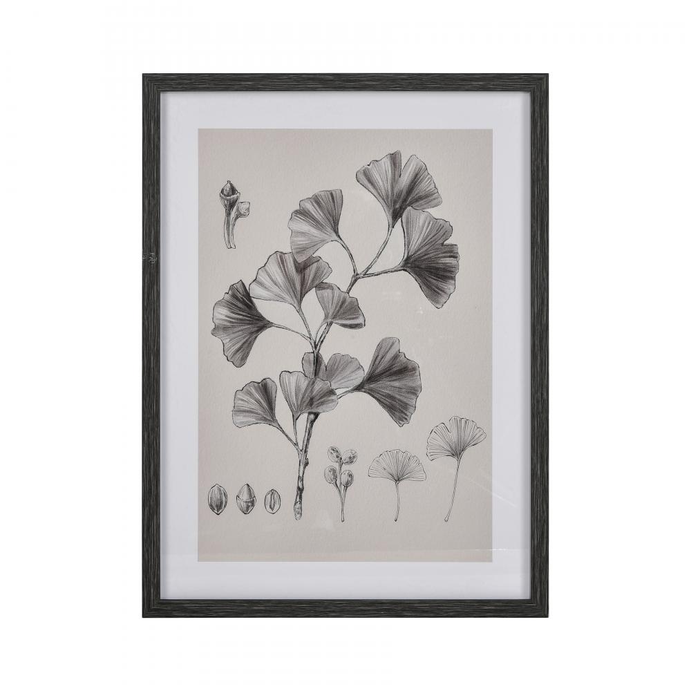 Ginkgo Botanic Framed Wall Art